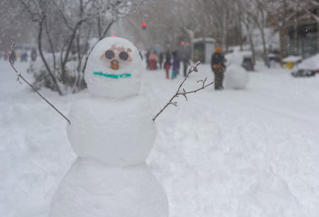 A selective focus shot of a snowman in a parkの写真素材