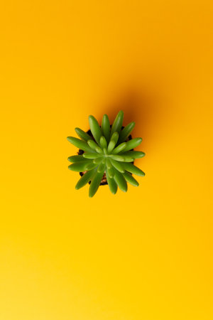 A vertical shot of a succulent plant in a pot isolated on a yellow backgroundの写真素材