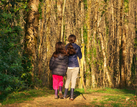 A view from behind of two young sisters holding hands walking in the green sunny forest with a stick in big sister's handの写真素材