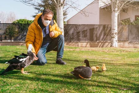 A male in a medical mask feeding a muscovy duck on the grassの写真素材