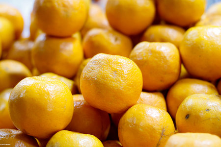 A closeup shot of a pile of juicy oranges