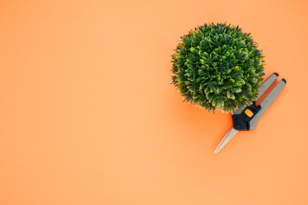 A top view of small pruners with a potted common box on an orange surfaceの写真素材
