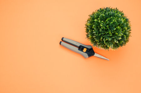 A top view of small pruners with a potted common box on an orange surfaceの写真素材