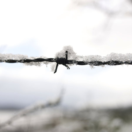 A closeup shot of snowflakes on barbed wireの写真素材
