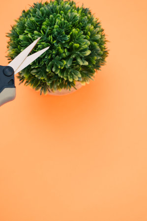 A green houseplant and gardening pruning shears on an orange surface - copy spaceの写真素材