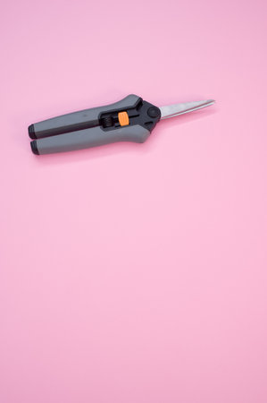 A vertical shot of gardening pruning shears isolated on pink background with space for textの写真素材
