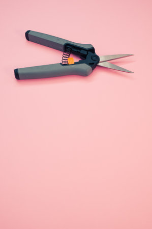 A top view of a garden pruner isolated in the pink background with copy space in the bottom