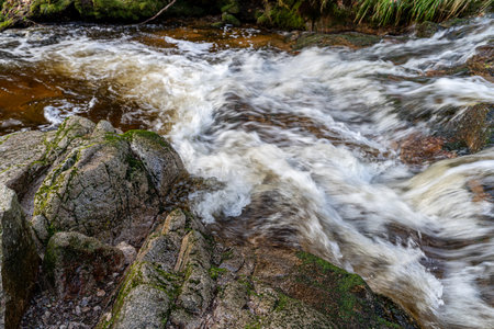 A closeup shot of a water stream surrounded by the mossy rocksの写真素材