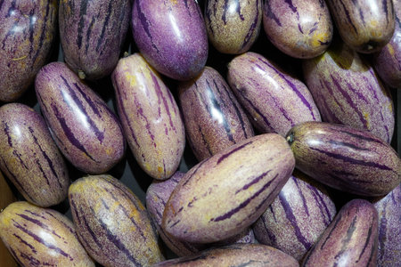 A horizontal background of fresh pinstripe eggplantsの写真素材