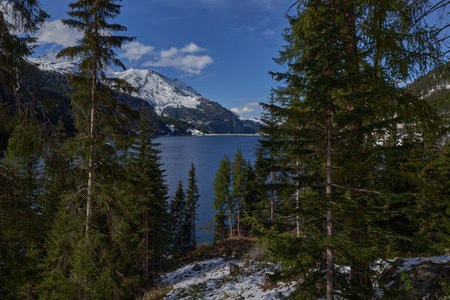 A closeup shot of a forest with a lake and snowy mountains in the background