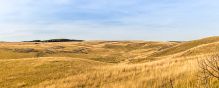 The beautiful view of fields in southern Brazilの写真素材
