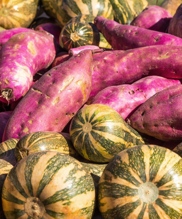 A vertical shot of a pile of pumpkin and sweet potatoの写真素材
