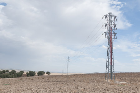 A line of electricity poles in a fieldの写真素材