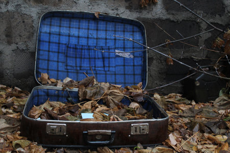 A forsaken opened vintage suitcase on the street full of autumn leavesの写真素材