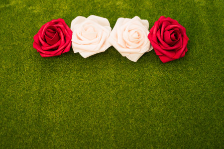 A closeup shot of red and white roses in the green grass backgroundの写真素材