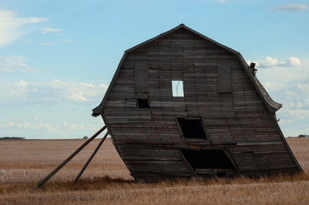 An abandoned crooked farm building on the dry grass fieldの写真素材