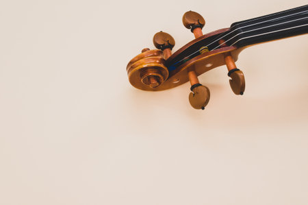 A closeup of the scroll of a maple wood violin on a soft pink background with copy spaceの写真素材