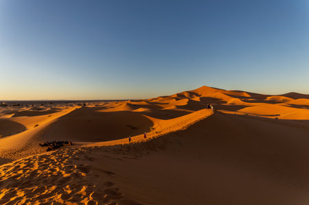 A shot of North Algodones Dunes Wilderness Area Acolita USAの写真素材