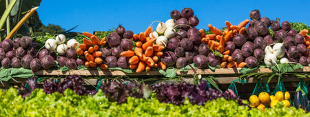 A large table with fresh garden vegetables