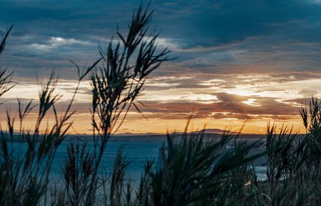 A beautiful scenery of a field of grass by the sea at sunsetの写真素材