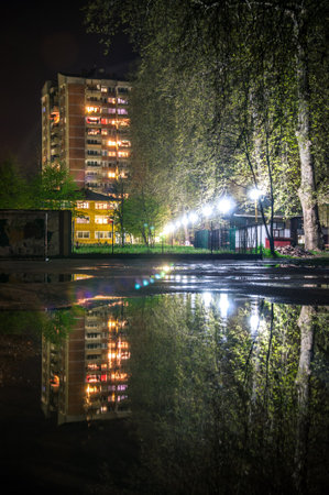 A night cityscape with an ivy tree reflecting on the lakeの写真素材