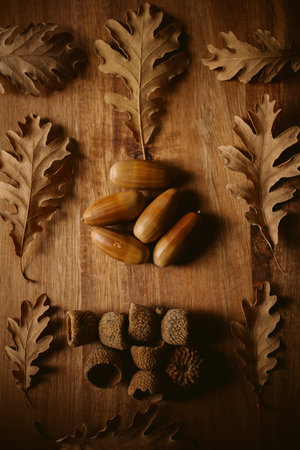 Autumn background. Oak leaves and acorns with selective focus. Close up view of fallen oak leaves as texture and background for design.の写真素材