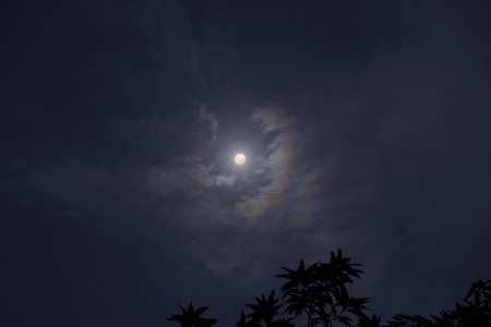 View of Blue Night Sky and Full Moonの写真素材