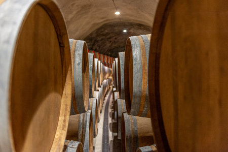 The rows of wooden wine barrels in a cellarの写真素材