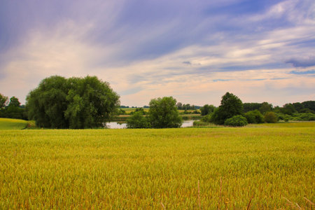 An idyllic field with lake in the backgroundの写真素材