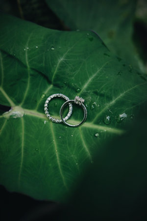 A vertical shot of two engagement rigs on a green leafの写真素材