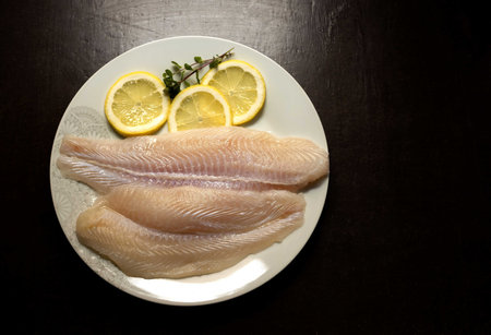 A plate of fish fillets with lemon slices and a plant branchの写真素材