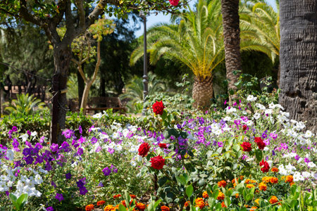 Flowery garden with petunias, roses, palm trees, and other plants. La Rabida monastery in Huelvaの写真素材