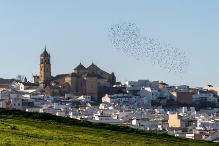 Rural village with white houses and big church in the south of Spain.の写真素材