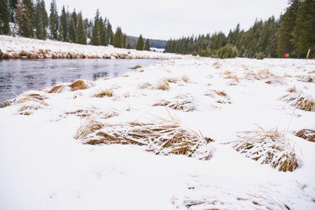 Winter landscape near Modrava in Sumava National Park