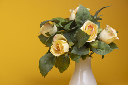 Yellow roses in green foliage in small white vase against a smooth monochrome backgroundの写真素材