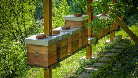Beautiful spring scenes, hives with bees in nature.