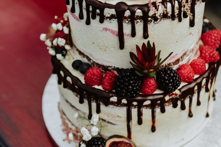 A closeup shot of a delicious cake with berries for a weddingの写真素材