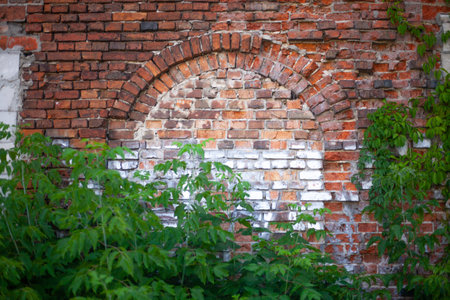 A closeup shot of an old brick wall with an arched design near plantsの写真素材
