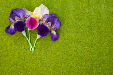 A top view of iris flowers on a green backgroundの写真素材