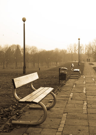 A wooden park bench in the autumn season in Poznan, Polandの写真素材