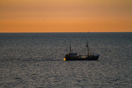 A shrimp cutter with a flock of seagulls in the evening sun on the North Seaの写真素材