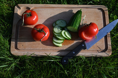 fresh vegetables photographed in a natural environmentの写真素材