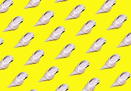 The seashells isolated on yellow background. Travel on summer vacationの写真素材