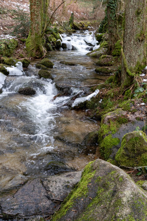 A chilling view of flowing water with stone covered with green moss in the Black Forest in Germanyの写真素材