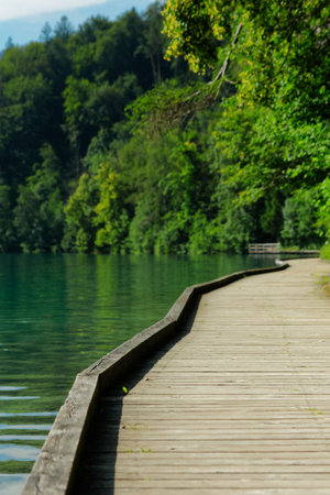 A vertical shot of a wooden plank surface near a green lake with reflections of vibrant treesの写真素材