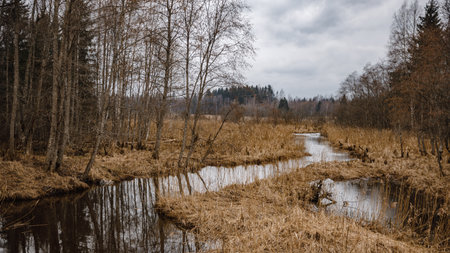Beautiful autumn landscape with trees reflected in the canal  against cloudy sky background