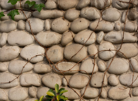 A closeup shot of plants against a cobble wall backgroundの写真素材