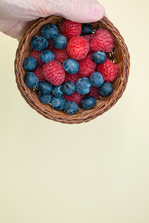 A person holding a small basket filled with fresh raspberries and blueberriesの写真素材