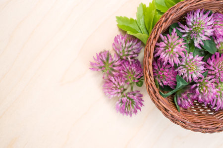 A top view of fresh red clover flowers with leaves on a wicker basket on a wooden surfaceの写真素材