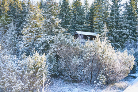 Look out tower at Jezerni Slat near Kvilda, Sumava National Park, on freezing sunny dayの写真素材